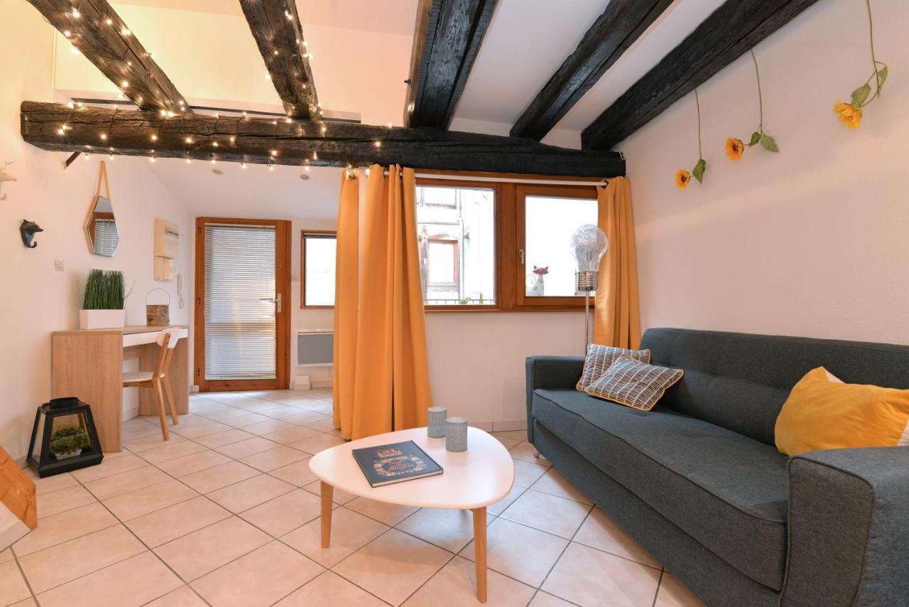 Appartement La Terrasse Sur Cour Кольмар Экстерьер фото