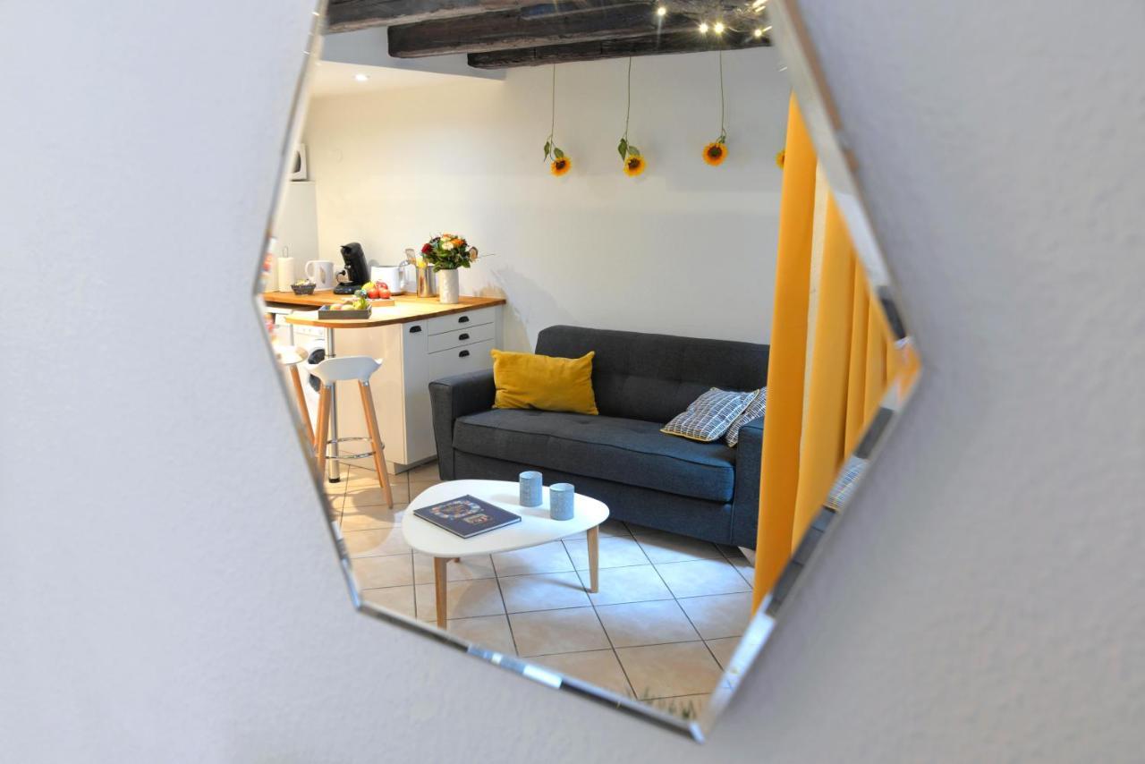 Appartement La Terrasse Sur Cour Кольмар Экстерьер фото